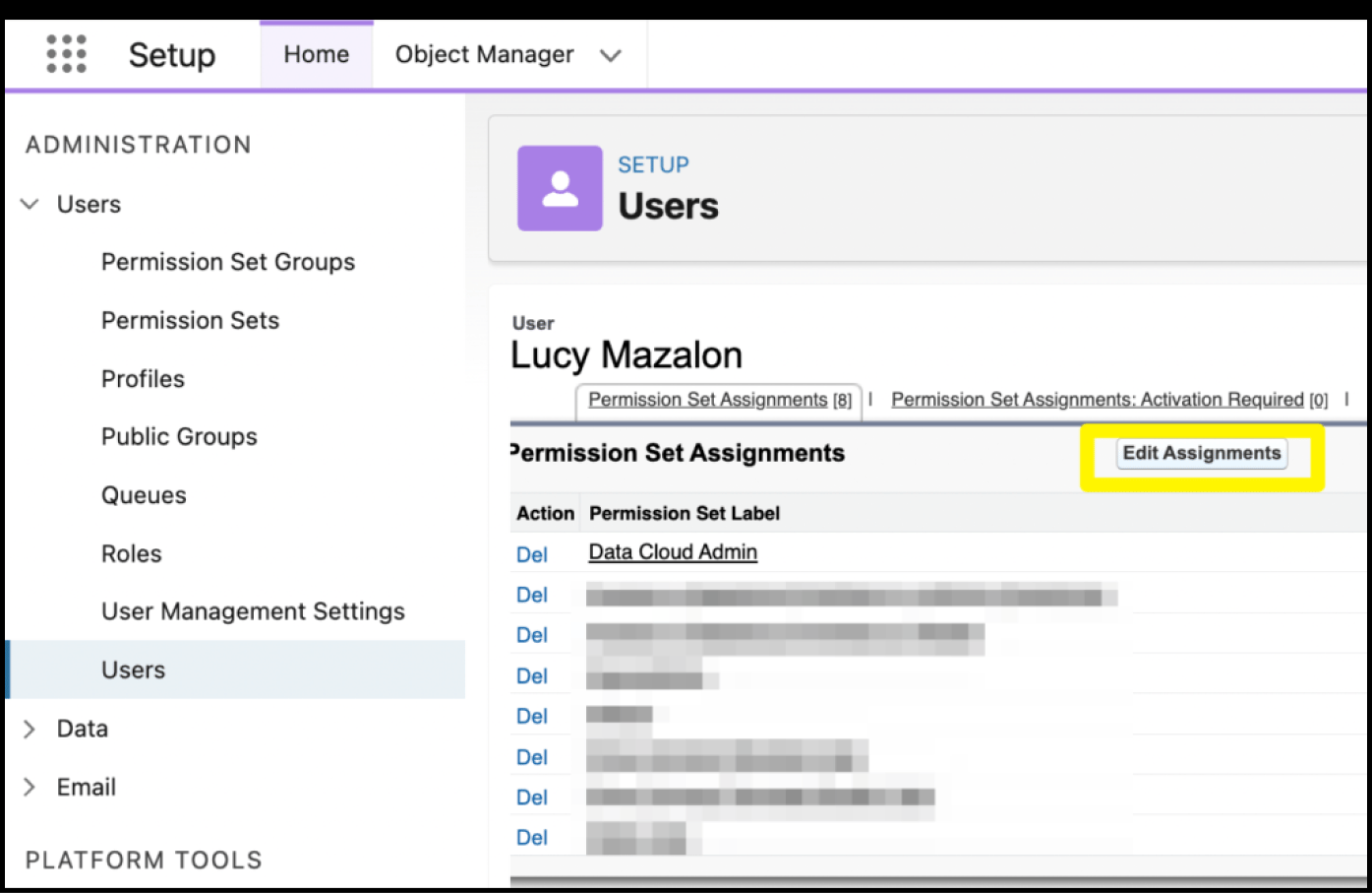 Permission set assignments
