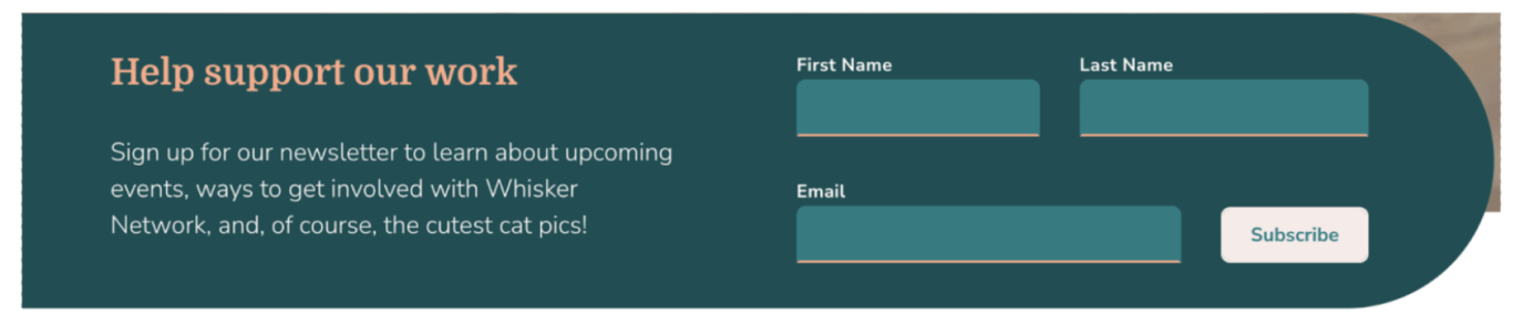 segment cdp newsletter signup
