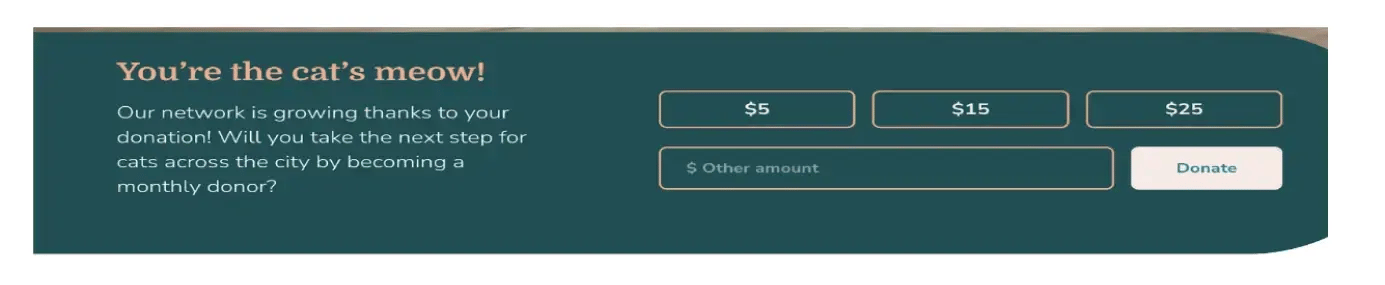 sedmnet-cdp-one-time-donation