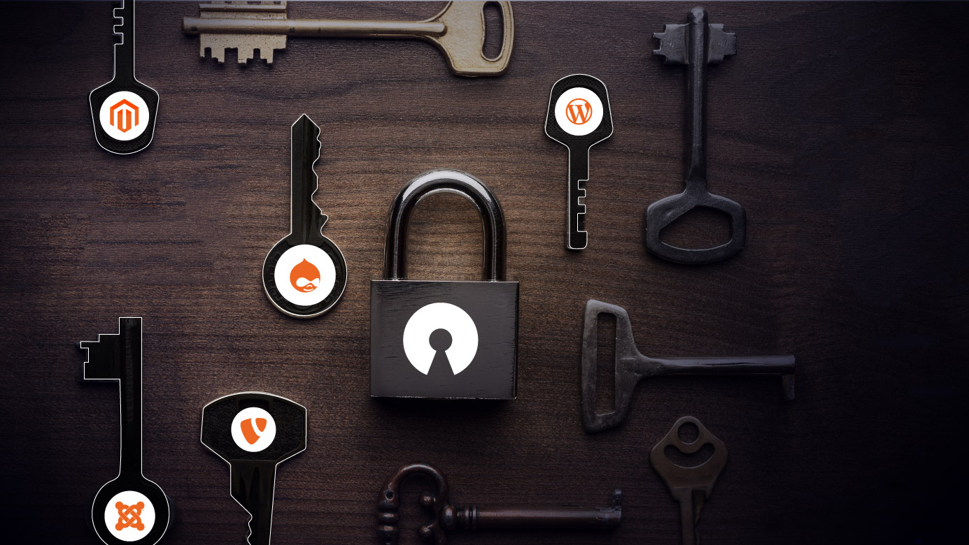 Unlocking ROI With&nbsp;Drupal Support & Maintenance