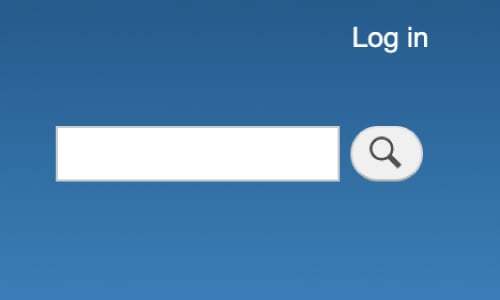search bar 