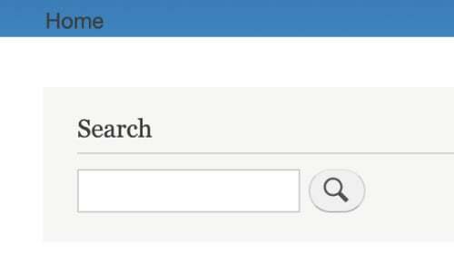 search bar in home screen